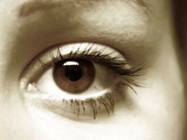 Auge
