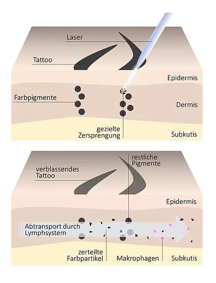 Tattoo dr. Khorram