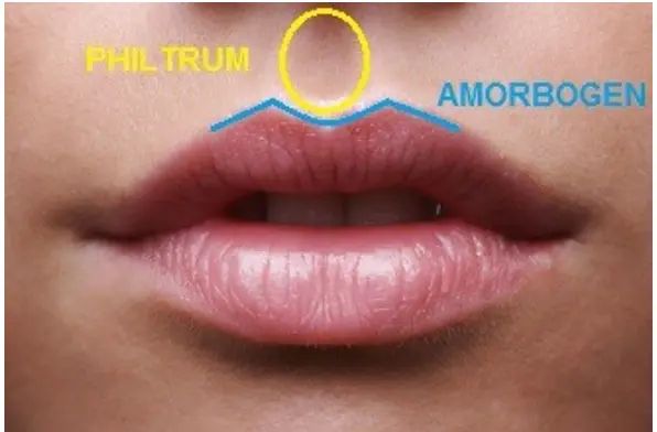 labios 3
