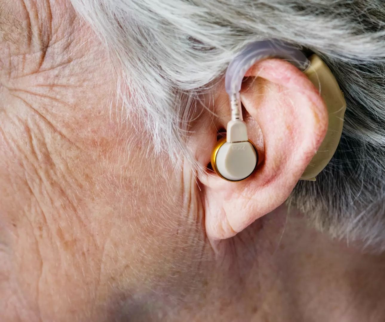 accessory adult aging 1251174