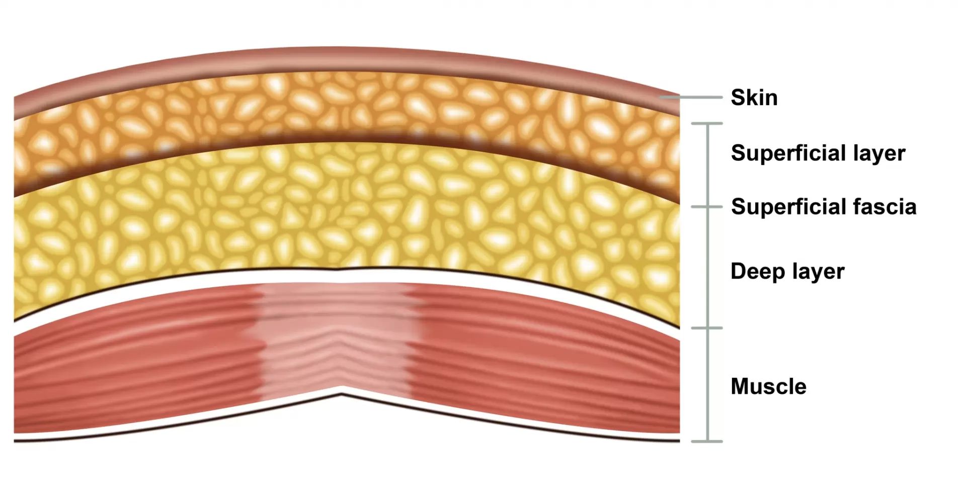 image dr Bartsch 1