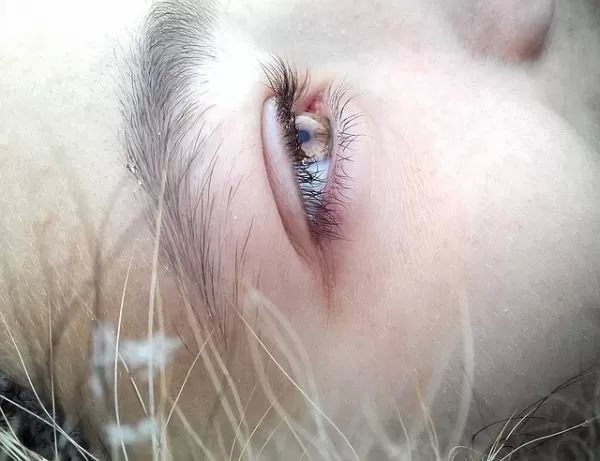 eye 1209039 640