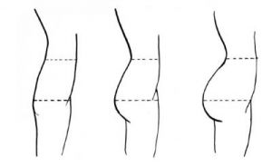 gluteuss