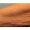 Thermage Skin Tightening