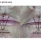 Laserowe zabiegi dermatologii estetycznej